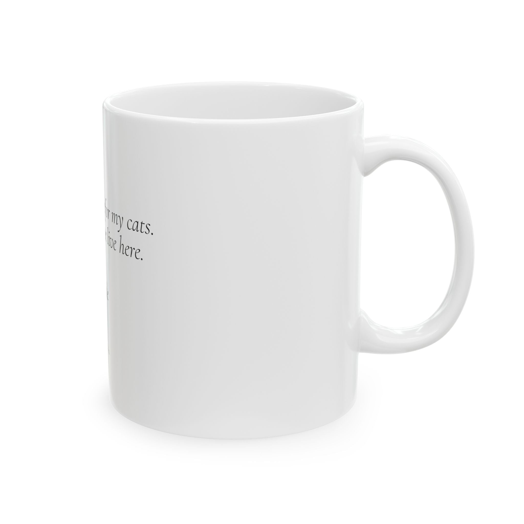 I Bought a House for My Cats Mug | Personalized Cat Mom Gift
